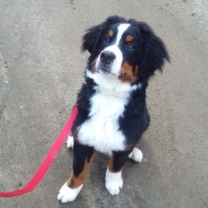 Meet your Posher, Machaylah